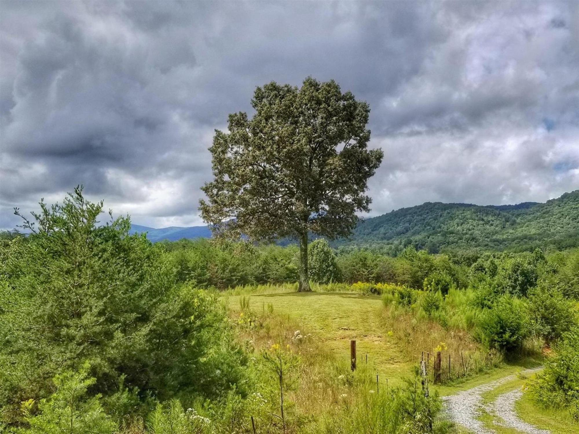 Eula Mae- Ocoee River Area Copperhill Екстериор снимка